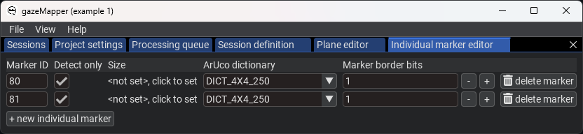 Individual marker editor