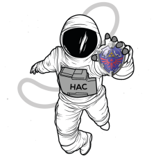 Avatar for Hyrule Astronomy Club from gravatar.com