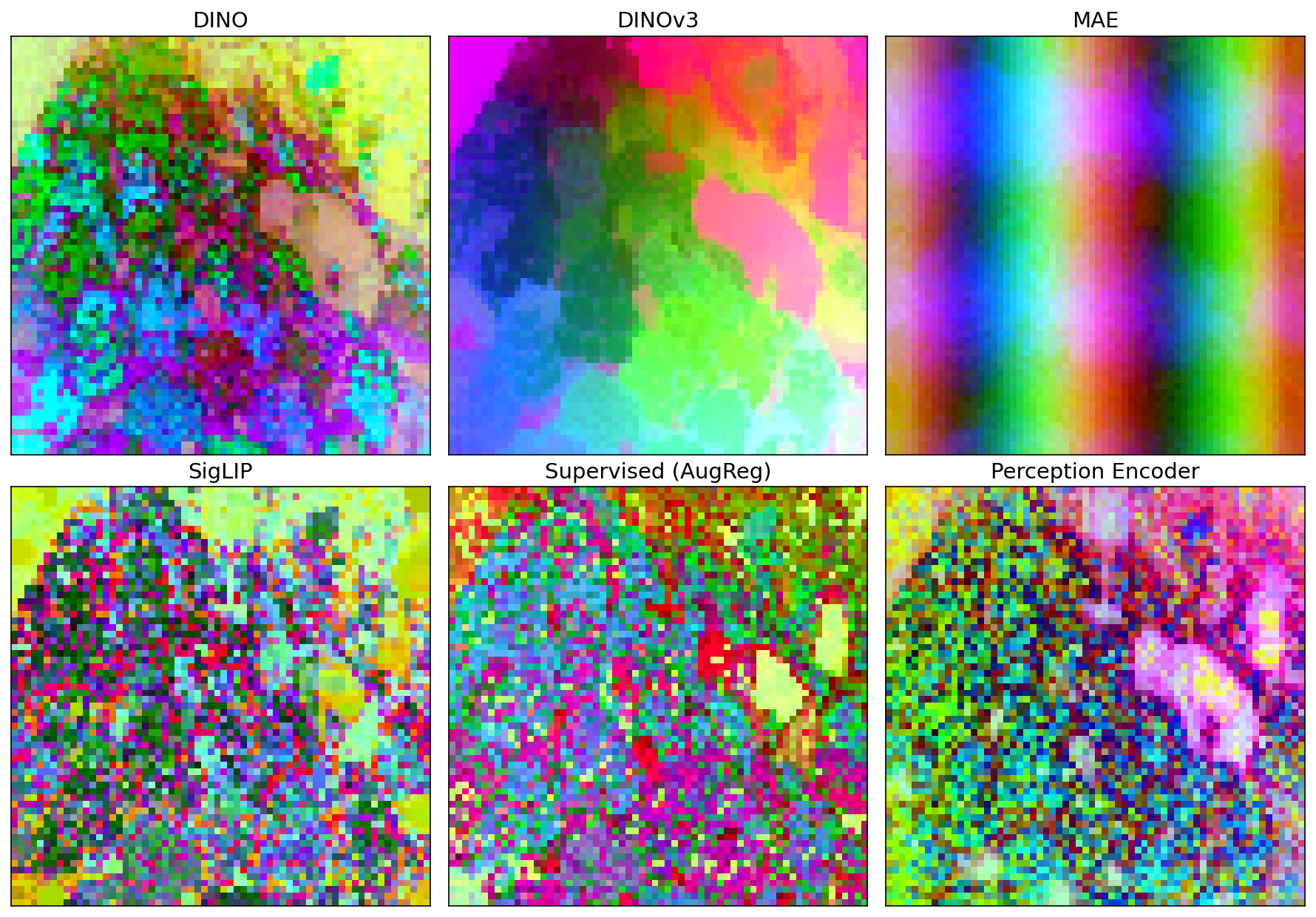 six ViT-B/16 backbones compared on one image