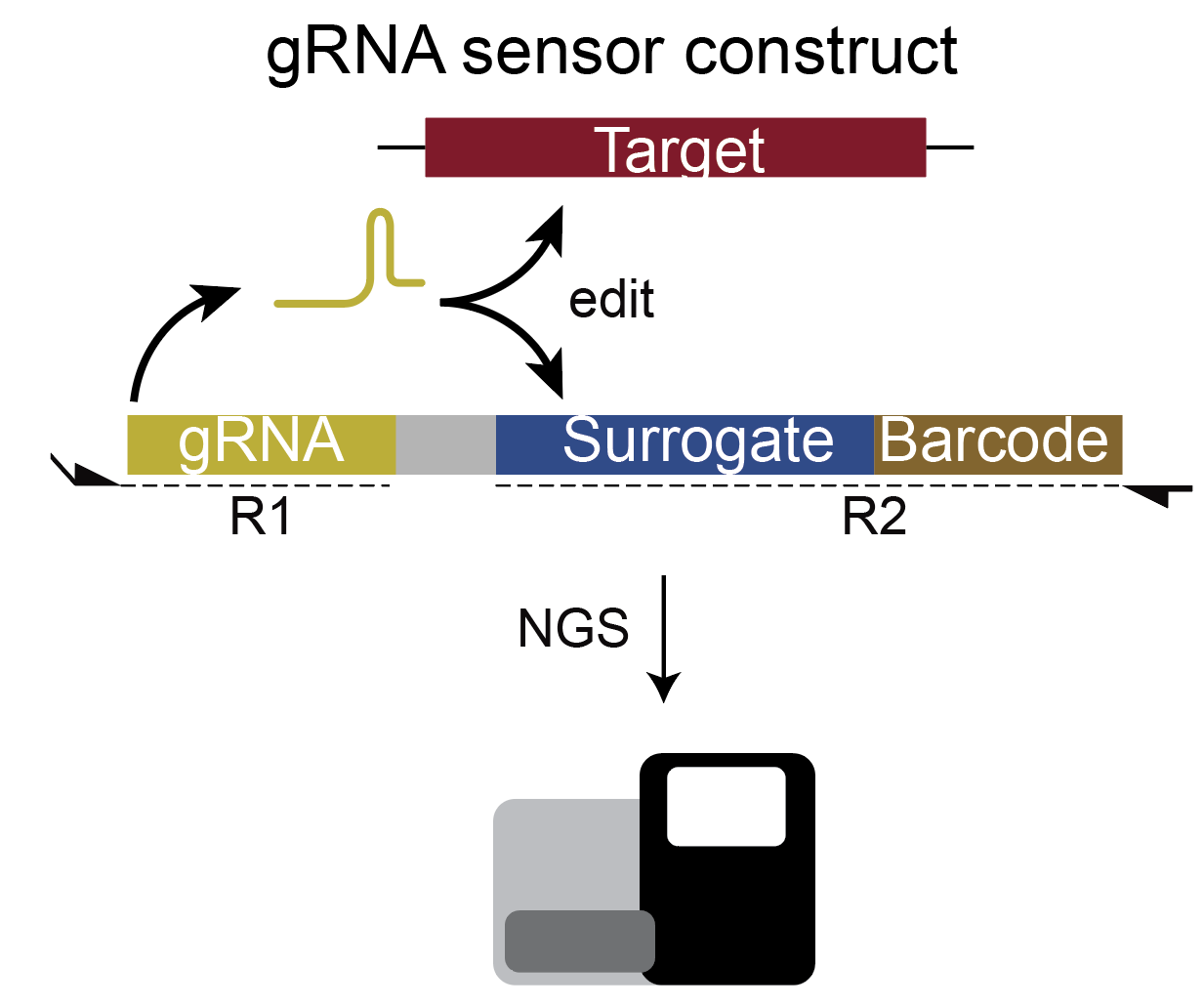 CRISPR-CLEAR framework