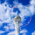 Avatar for tsmorz from gravatar.com