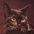 Avatar for gdar463 from gravatar.com