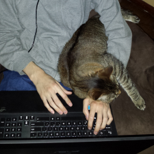 Avatar for Timothy Southwick from gravatar.com