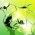 Avatar for rahuldhodapkar from gravatar.com
