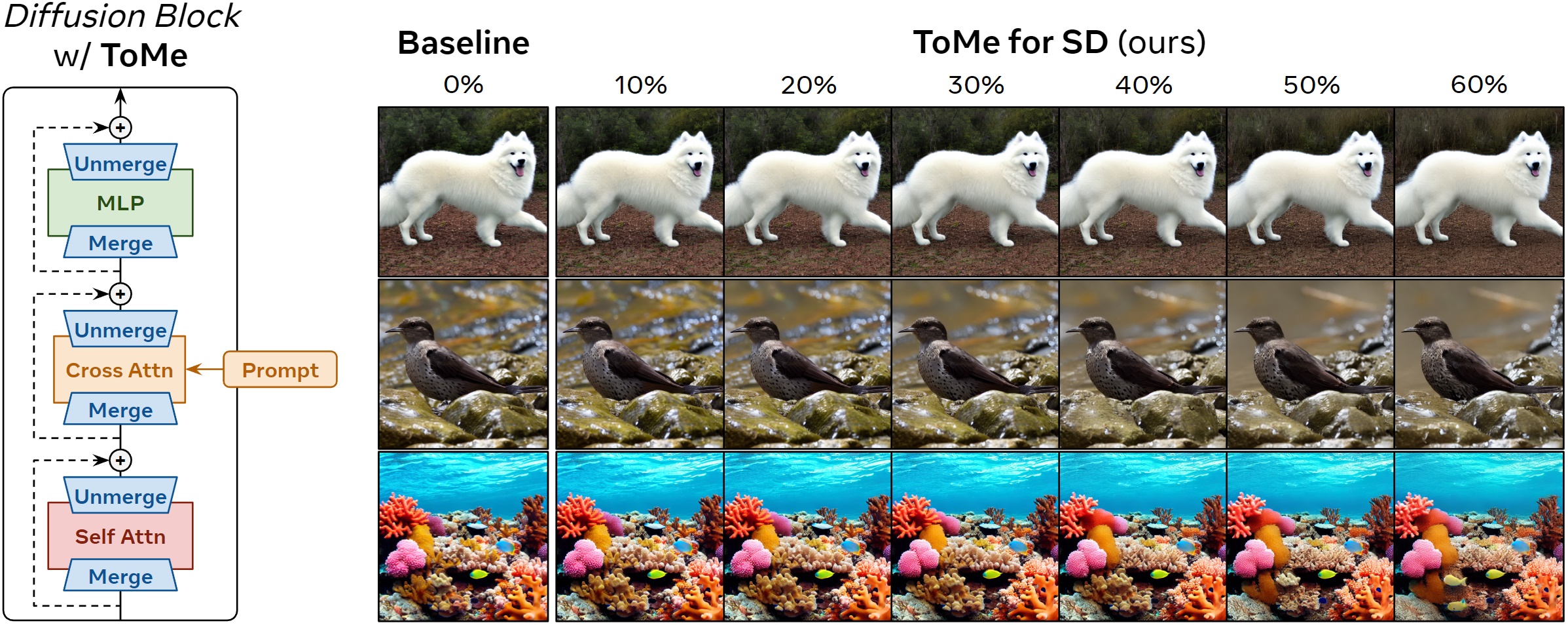A diffusion block with ToMe applied and the resulting images at different merge ratios.