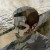 Avatar for fgomezotero from gravatar.com