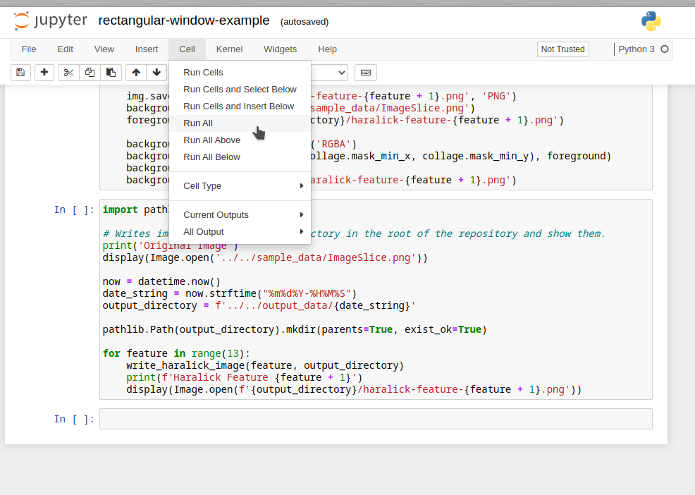 Jupyter Run Cells