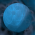 Avatar for psy-q from gravatar.com
