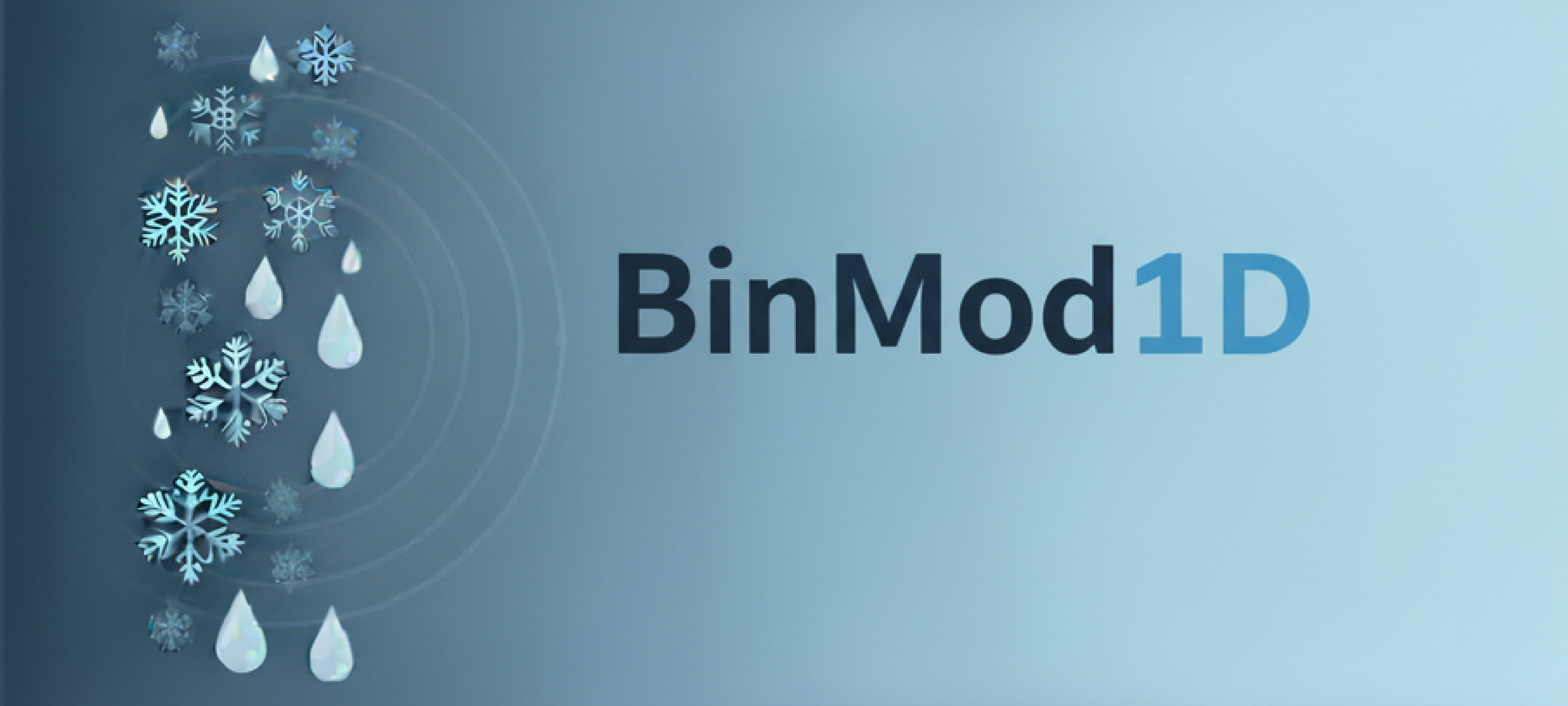 BinMod1D Banner