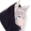 Avatar for Prince747 from gravatar.com