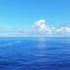 Avatar for William Meng from gravatar.com