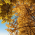 Avatar for harry0805 from gravatar.com
