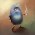 Avatar for fatboystring from gravatar.com
