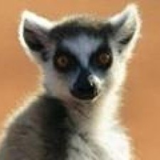 Avatar for Jack Shao from gravatar.com