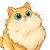 Avatar for clob from gravatar.com