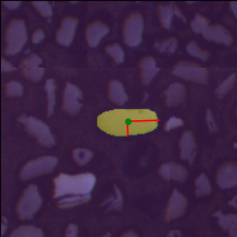 Spot 315_cropped