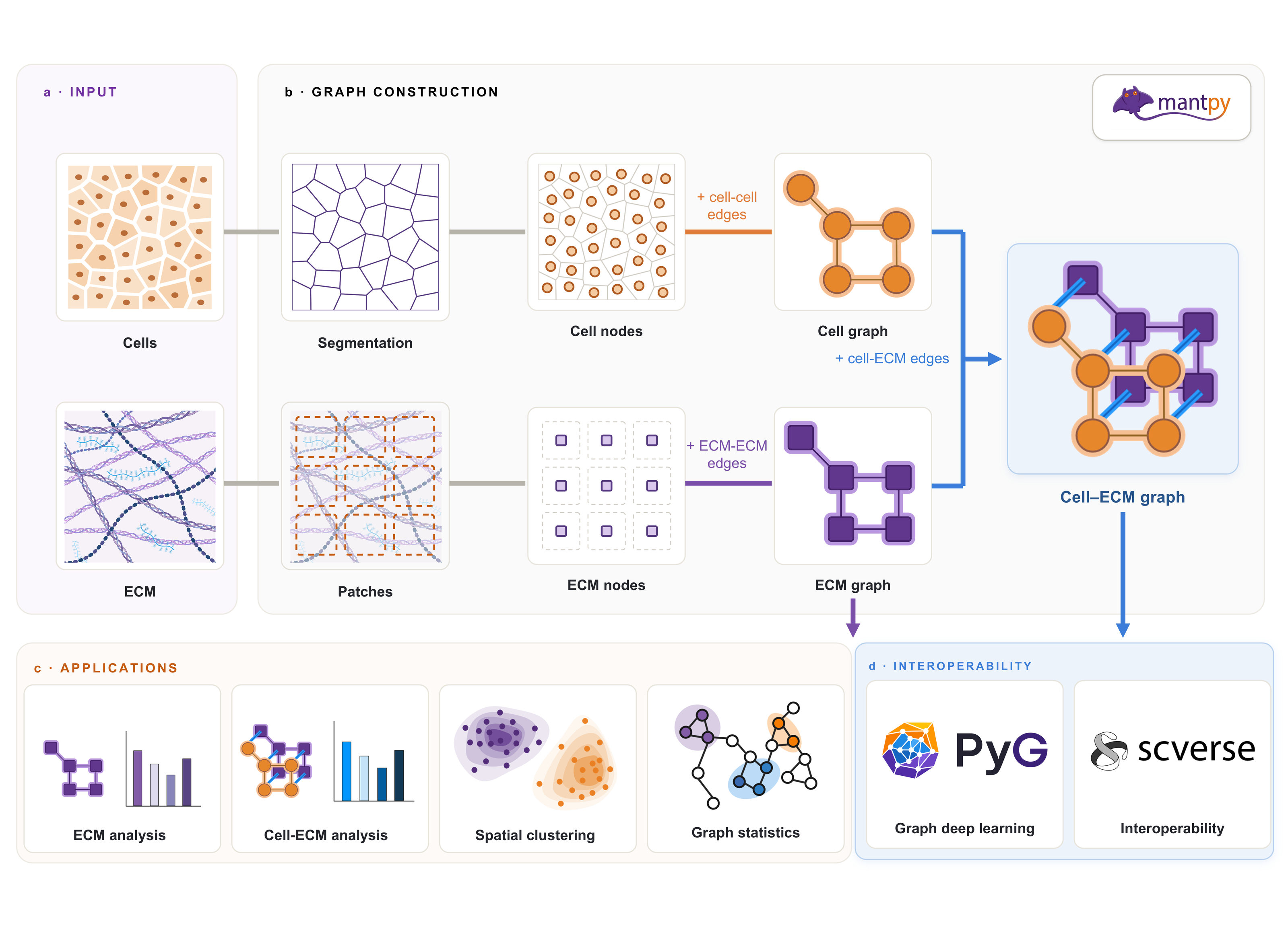 Mantpy overview: input, graph construction, applications and interoperability