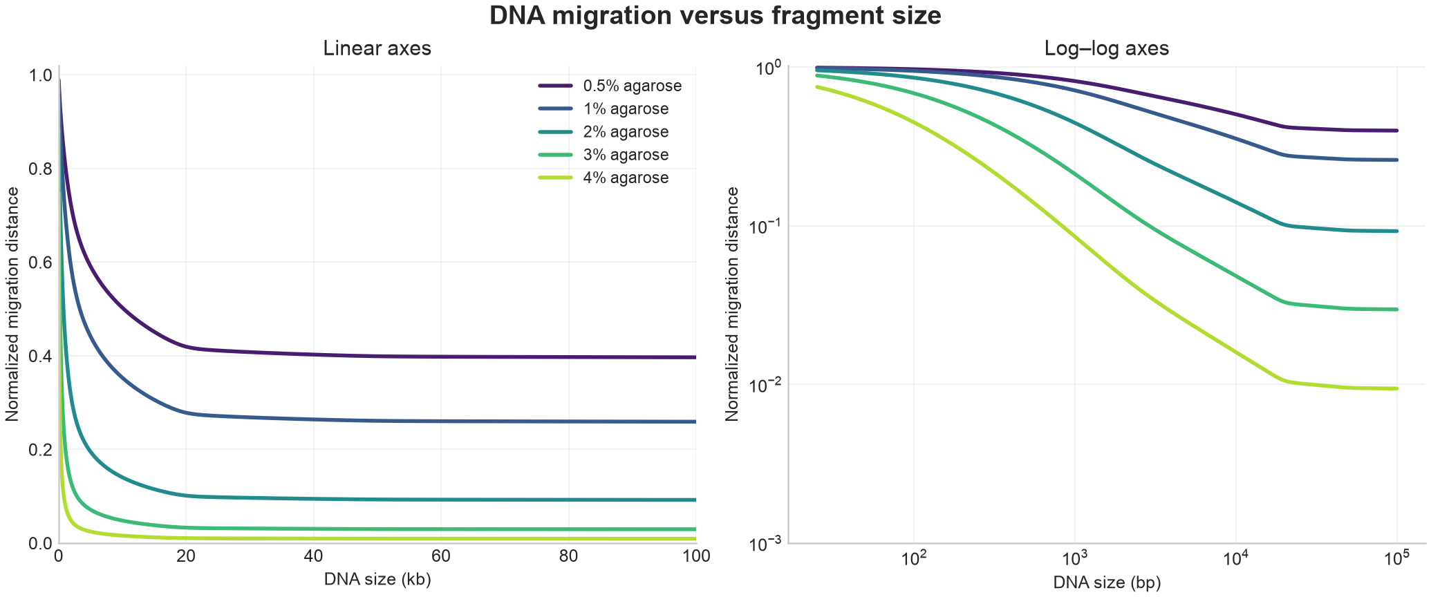 Migration distance versus DNA size at several agarose percentages