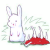 immerrr的Gravatar头像