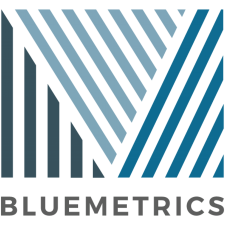 Avatar for Bluemetrics from gravatar.com