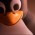 Avatar for erikdewildt from gravatar.com
