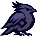 nighthawk-logo