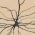 Avatar for dam1784 from gravatar.com