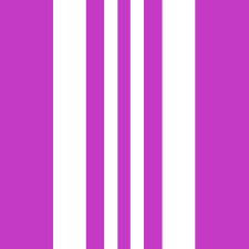 Avatar for electrovoyage. from gravatar.com
