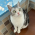 Avatar for Jason26214 from gravatar.com