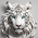 Avatar for kalanakt from gravatar.com