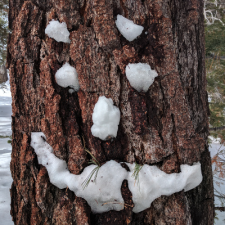 Avatar for Sergi Pons Freixes from gravatar.com