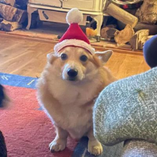 Avatar for Mikey Scott from gravatar.com