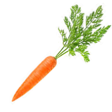 Avatar for MinSup Kim from gravatar.com