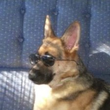 Avatar for Jerry Neely from gravatar.com