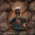 Avatar for kohleggermichael from gravatar.com