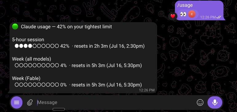 The /usage report in Telegram: a headline percentage, a bar per limit, and the time until each resets.
