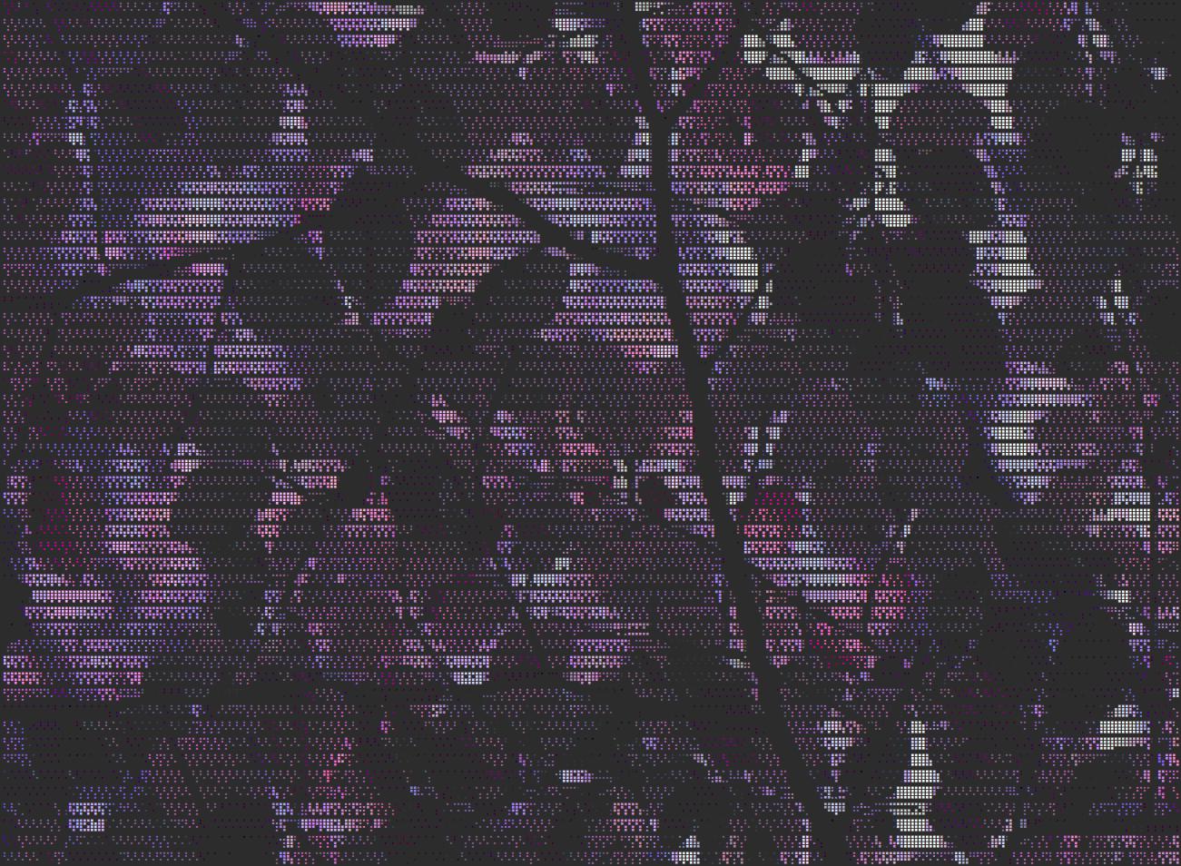 image_03