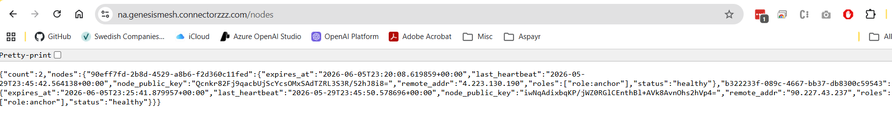 /nodes endpoint showing two enrolled nodes with different remote addresses