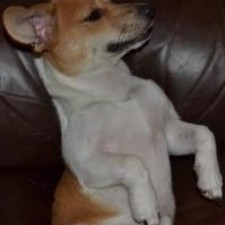 Avatar for tgow from gravatar.com