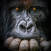 Avatar for orfeo321 from gravatar.com