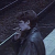 Avatar for Piker98988 from gravatar.com