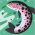 Avatar for silk from gravatar.com