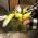 Avatar for leemhoon00 from gravatar.com