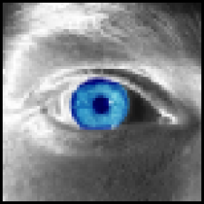 Avatar for NeoStormer from gravatar.com