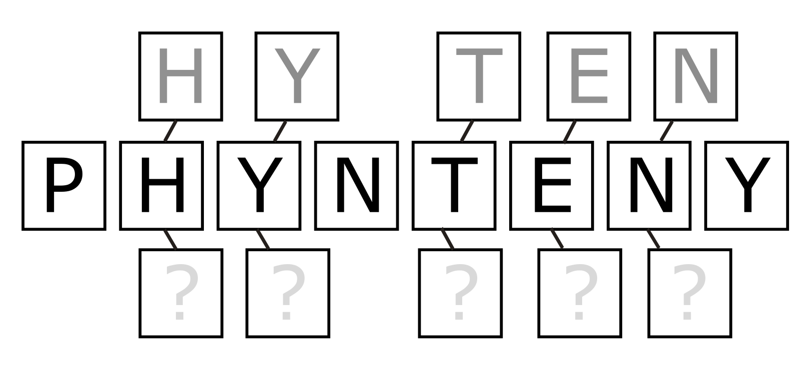 phynteny logo