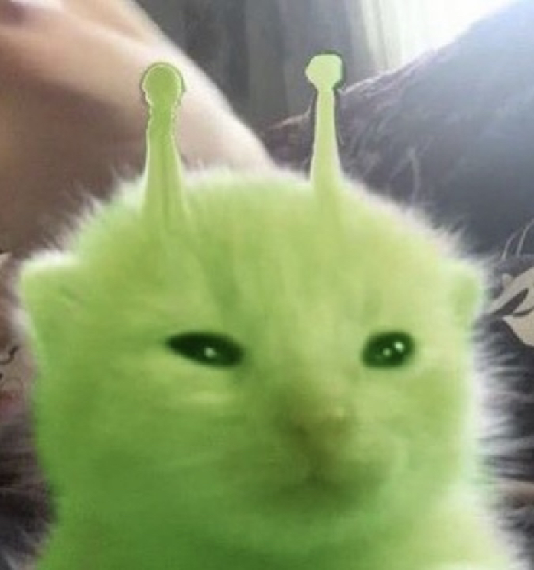 Alien cat