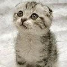 Avatar for marckn from gravatar.com