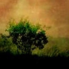 Avatar for Bas Westerbaan from gravatar.com