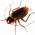 Avatar for impliedchaos from gravatar.com