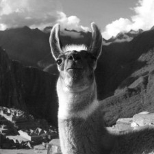 Avatar for Rubicon Rowe from gravatar.com